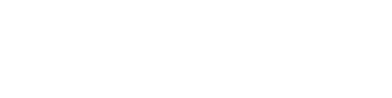 Emergence